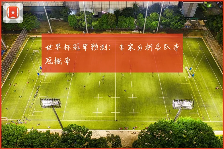 世界杯冠军预测:专家分析各队夺冠概率