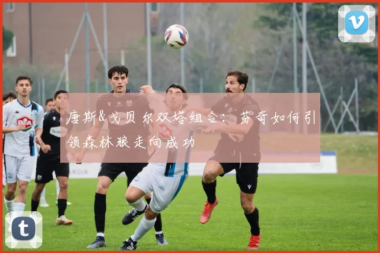 唐斯&戈贝尔双塔组合:芬奇如何引领森林狼走向成功