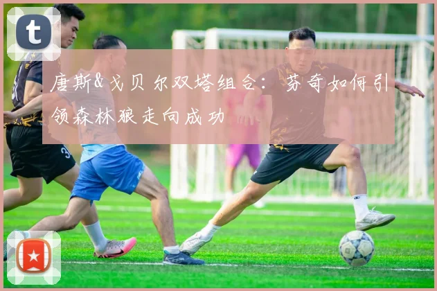 唐斯&戈贝尔双塔组合:芬奇如何引领森林狼走向成功
