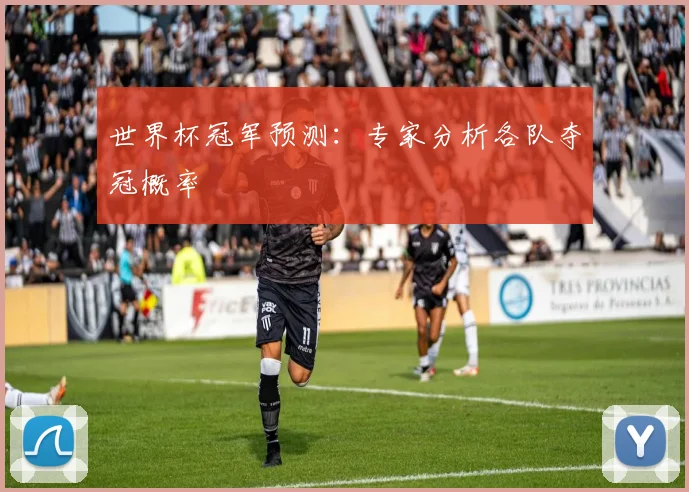 世界杯冠军预测:专家分析各队夺冠概率